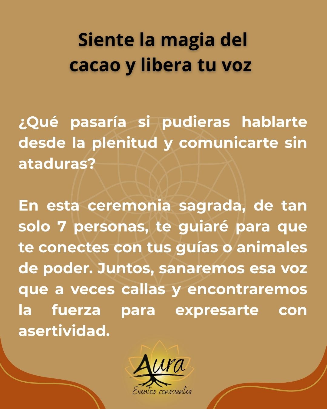 Ceremonia de cacao (31 de agosto)