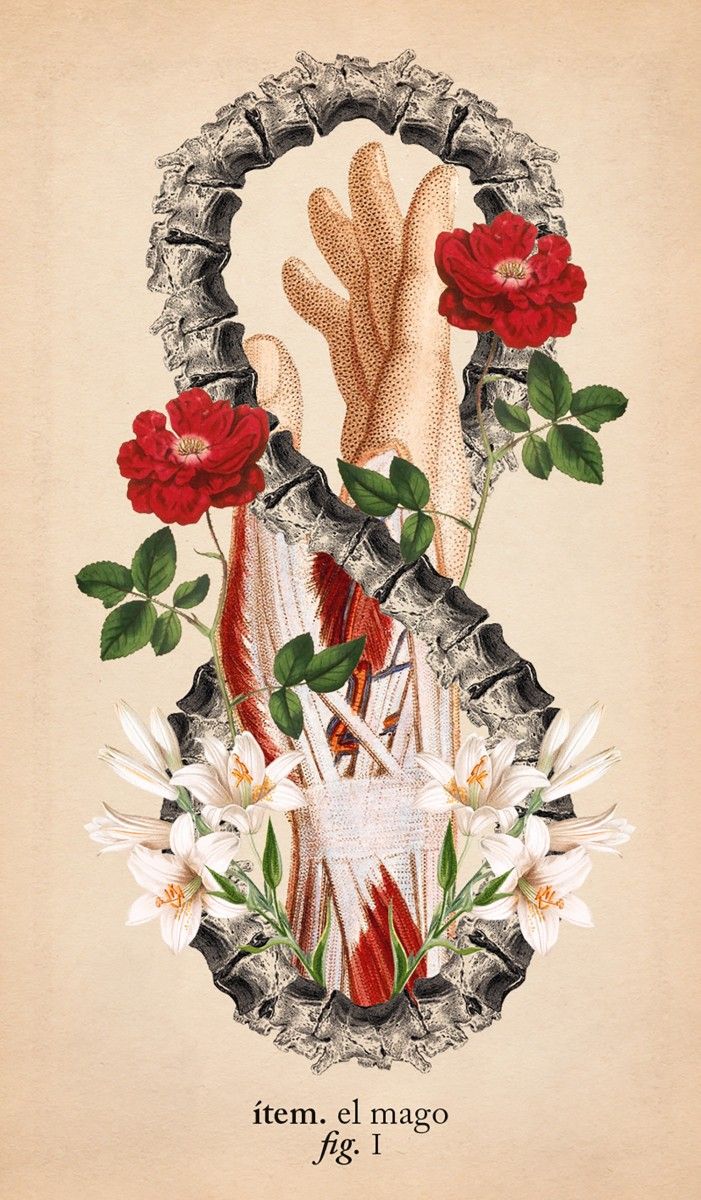 Tarot de anatomía y botánica antiguas