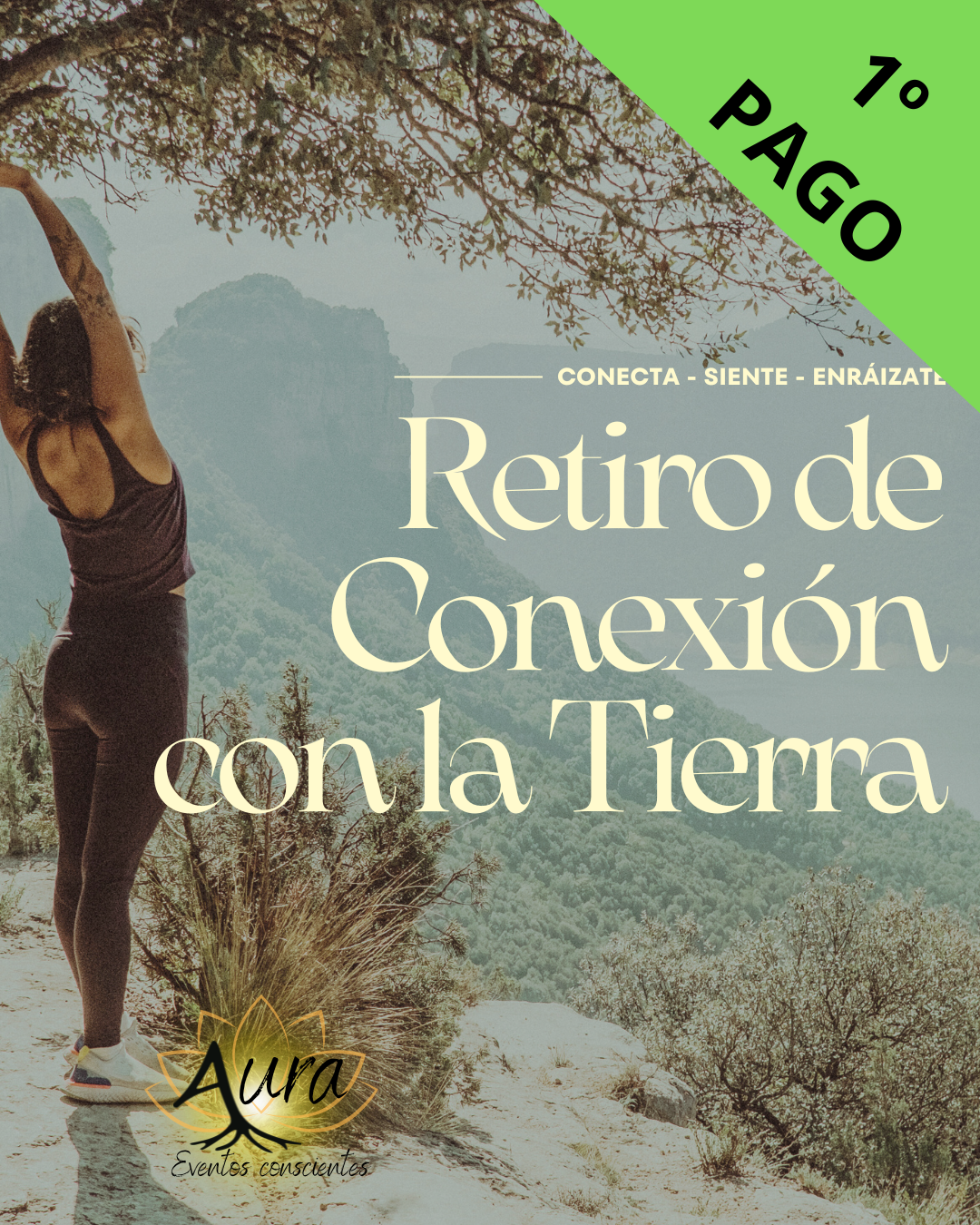 Pago fraccionado (1r Pago)